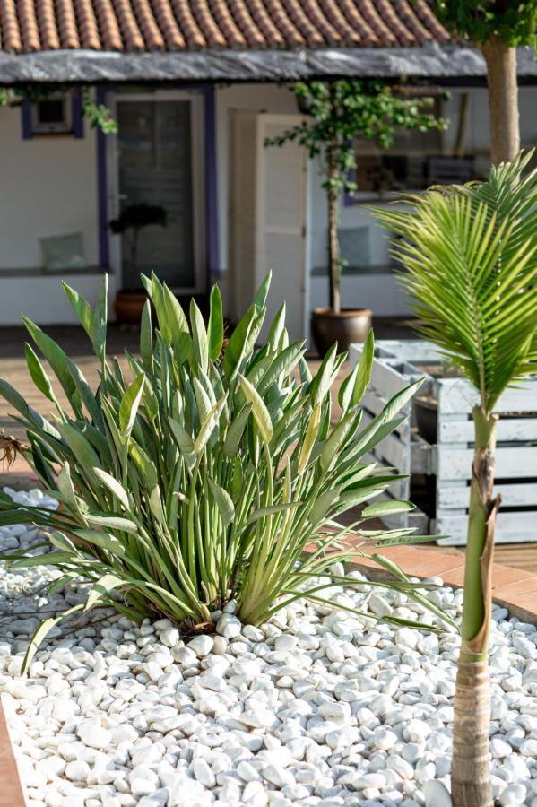 Finca De L'Angles. Levante Potries Dış mekan fotoğraf
